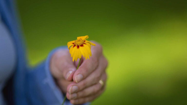 Hand mit Blume