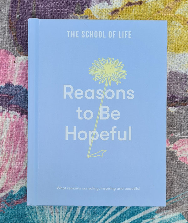 Buch Reasons to be Hopeful